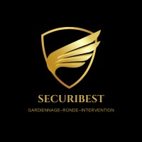 SECURIBEST logo - Similar company to Main Securite