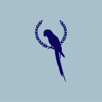Blue Bird Shoes