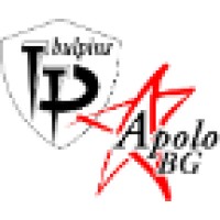 Bulpins Ltd logo - Similar company to Pillzar