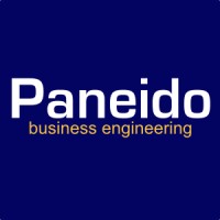 Paneido - business engineering logo - Similar company to Pancaim