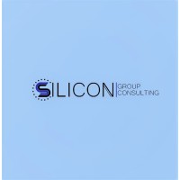 Silicon Group Consulting logo - Similar company to The Totalcfo