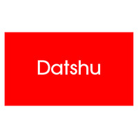 Datshu LLC logo - Similar company to Executive Talent Partners