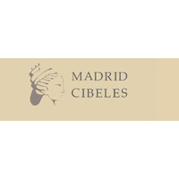 Madrid Cibeles Global Group S.L logo - Similar company to Cibeles.Net