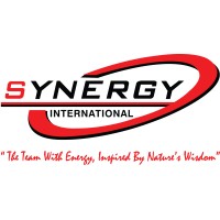 SYNERGY GROUP logo - Similar company to Clock Software Solutions Pvt.Ltd