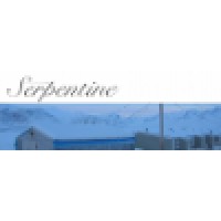 Serpentine New York Gallery logo - Similar company to Pursuits Inc.