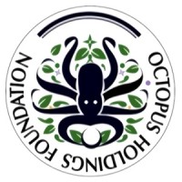 Octopus Holdings Foundation logo - Similar company to Springland Enterprise Group
