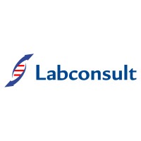 Labconsult logo - Similar company to Led Techno
