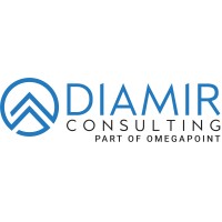 Diamir Consulting logo - Similar company to Thinknine