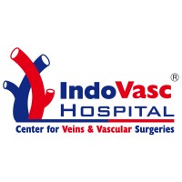 Indovasc Hospital logo - Similar company to Justdigilab