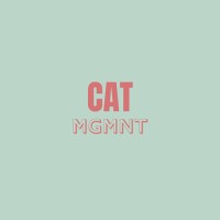CAT MGMNT logo - Similar company to Fractional Cfo Services