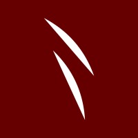 Noii studio logo - Similar company to Blackout Management Srls