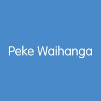 New Zealand Artificial Limb Service