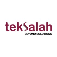 Teksalah logo - Similar company to Digit Solutions Llc