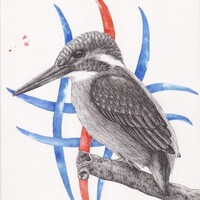 Kingfishers Waterfront Bar And Grill