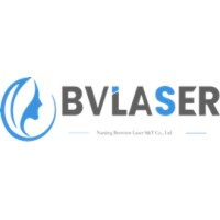Nanjing Bestview Laser S&t Co., Ltd. logo - Similar company to Vemeidic Technology