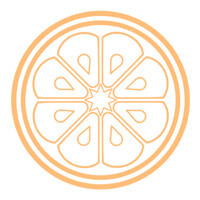 Quinta Kaleidoscope logo - Similar company to Agilix Consulting™
