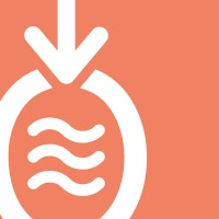 Amphora Health logo - Similar company to Factor Mas