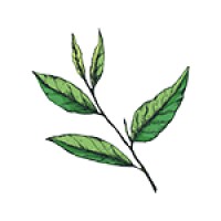 Tealeaf Collective logo - Similar company to Justbard Technologies