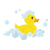 Squeaky Clean Salt Spring logo - Similar company to Squeaky Clean