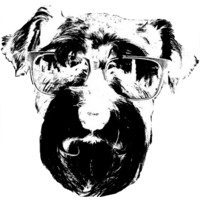Dim Dog Productions