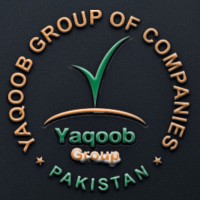 Yaqoob Group of Companies logo - Similar company to Dromacare