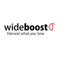 Wideboost Consulting logo - Similar company to Idmann Academy