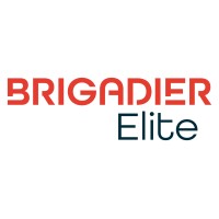 Brigadier Security Systems Ltd logo - Similar company to Slimburg Tactical Consulting Limited