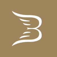 BITS Lifestyle logo - Similar company to Swescan