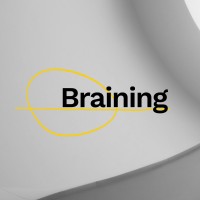 Braining Agency logo - Similar company to Horizon Consultant