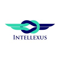 Intellexus Systems Pvt Ltd logo - Similar company to Ashoka Purestudy Technologies Pvt Ltd