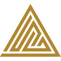 Digital Strategy Group logo - Similar company to Remote First Aid