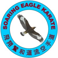 Soaring Eagle Karate logo - Similar company to United Atlantic Karate (Uak)