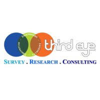 Third Eye Survey Research Consulting logo - Similar company to Data Myanmar