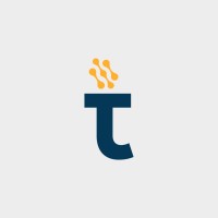 Techystorm logo - Similar company to Shefa Solutions Ltd