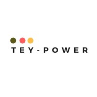 The Empowered Youth Africa logo - Similar company to Peer Africa