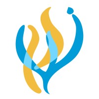 Congregation Kehilat Shalom