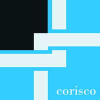 CORISCO logo - Similar company to Servi-San