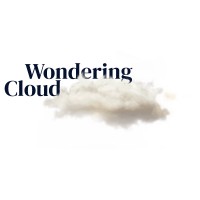 Wondering Cloud logo - Similar company to Polypod