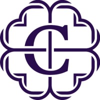 Consilium logo - Similar company to Hey Skye