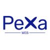 Pexa Web logo - Similar company to Alter Web