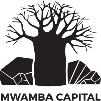 Mwamba Capital Limited logo - Similar company to Digital Vision Ea