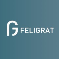 Feligrat logo - Similar company to Rk Software Solutions