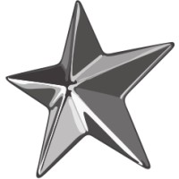 THE SILVER ACADEMY logo - Similar company to Togethr