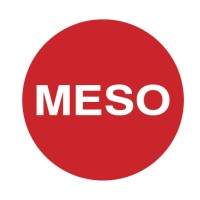 MESO PRIVATE LIMITED logo - Similar company to Vitaguru