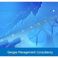 Ganges Management Consultancy Ltd logo - Similar company to Blend: Data Analysts & Business Strategists