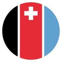 Demaurex SA logo - Similar company to Technodrive Digital