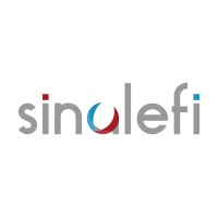 Sinalefi Srl logo - Similar company to Messervice Srl