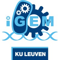 iGEM KU Leuven logo - Similar company to Hydro Team