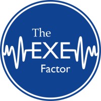 The Exe Factor logo - Similar company to Rokk Internet
