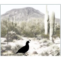 Tarango Consulting logo - Similar company to Tarango - A Creative Consultancy For Executive Storytelling